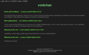 Read more about the article voidchan