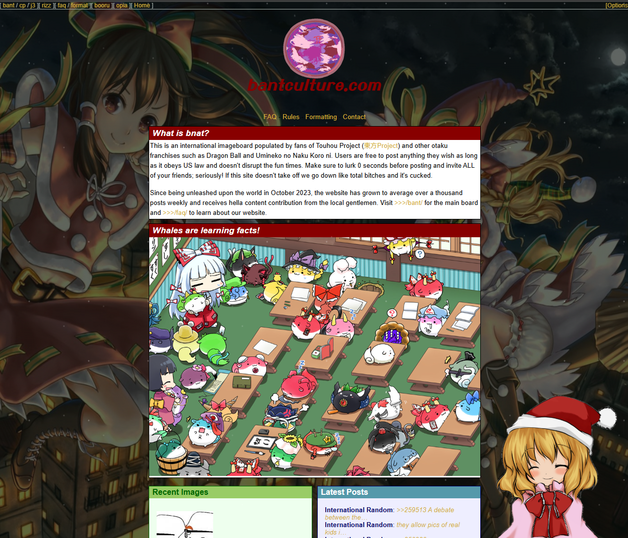 Read more about the article Bantculture