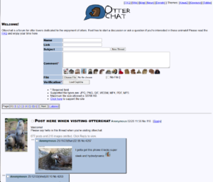 Read more about the article Otterchat