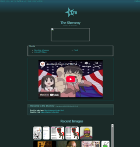 Read more about the article The Shemmy